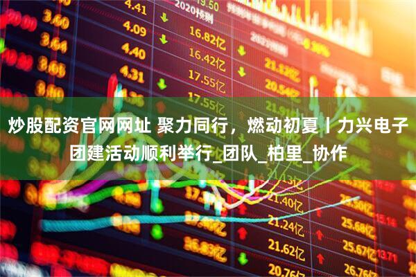 炒股配资官网网址 聚力同行，燃动初夏丨力兴电子团建活动顺利举行_团队_柏里_协作