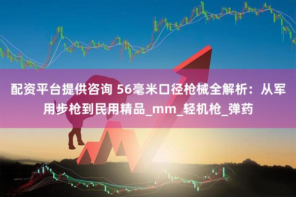 配资平台提供咨询 56毫米口径枪械全解析：从军用步枪到民用精品_mm_轻机枪_弹药